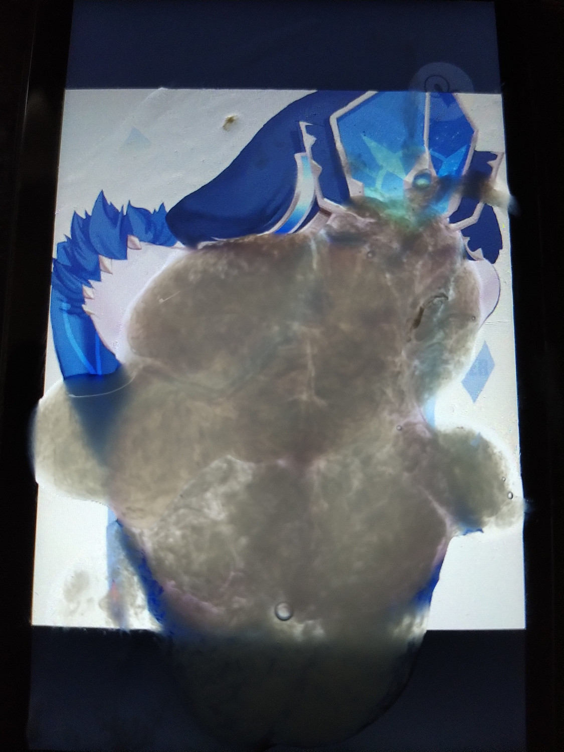 Mirror Maiden (Genshin Impact) Cum Tribute #1OwL1NyD
