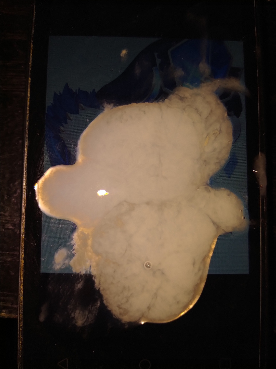 Mirror Maiden (Genshin Impact) Cum Tribute #DrRxLHR3