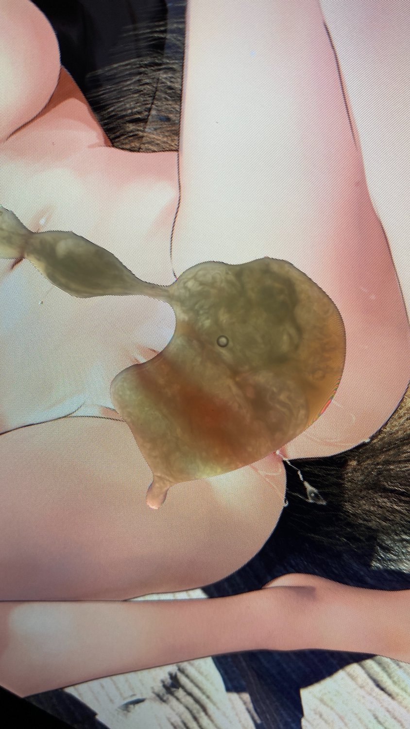 Ookami Mio(hololive JP) Cum Tribute SOP(Bukkake) #0ybJpml9