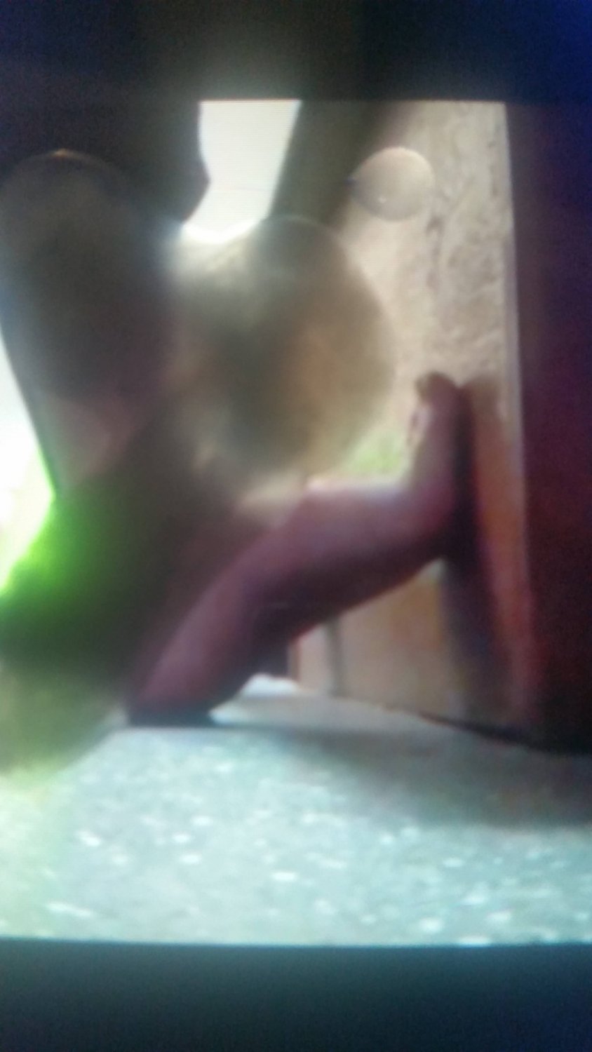 Billie Eilish Cum Tributes #hLFZR3iW